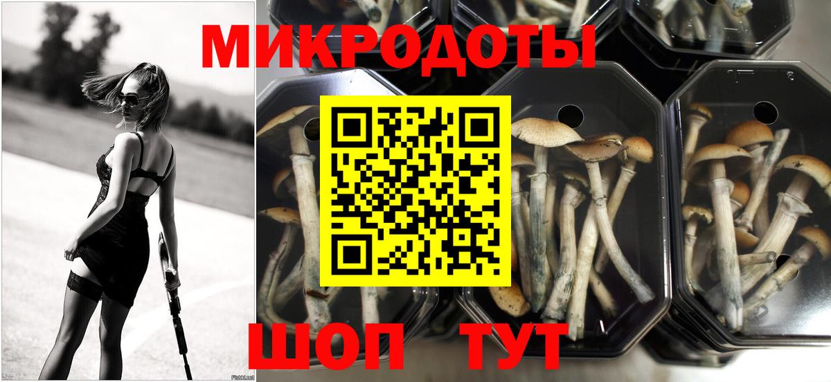 Галлюциногенные грибы Magic Shrooms Сорочинск