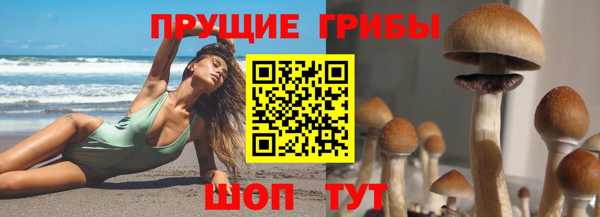 Сорочинск  Псилоцибиновые грибы Magic Shrooms  Вход с VPN 